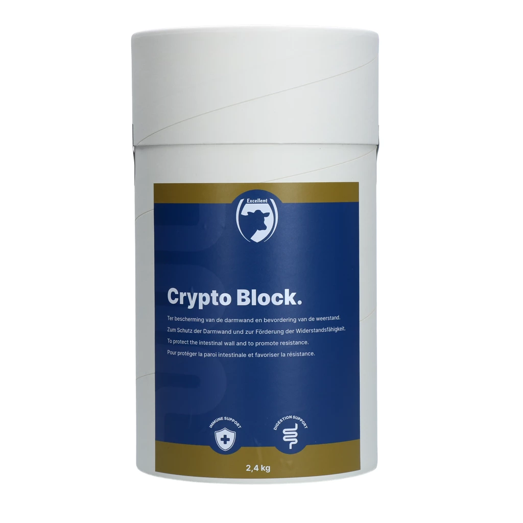 Crypto Block 2,4kg