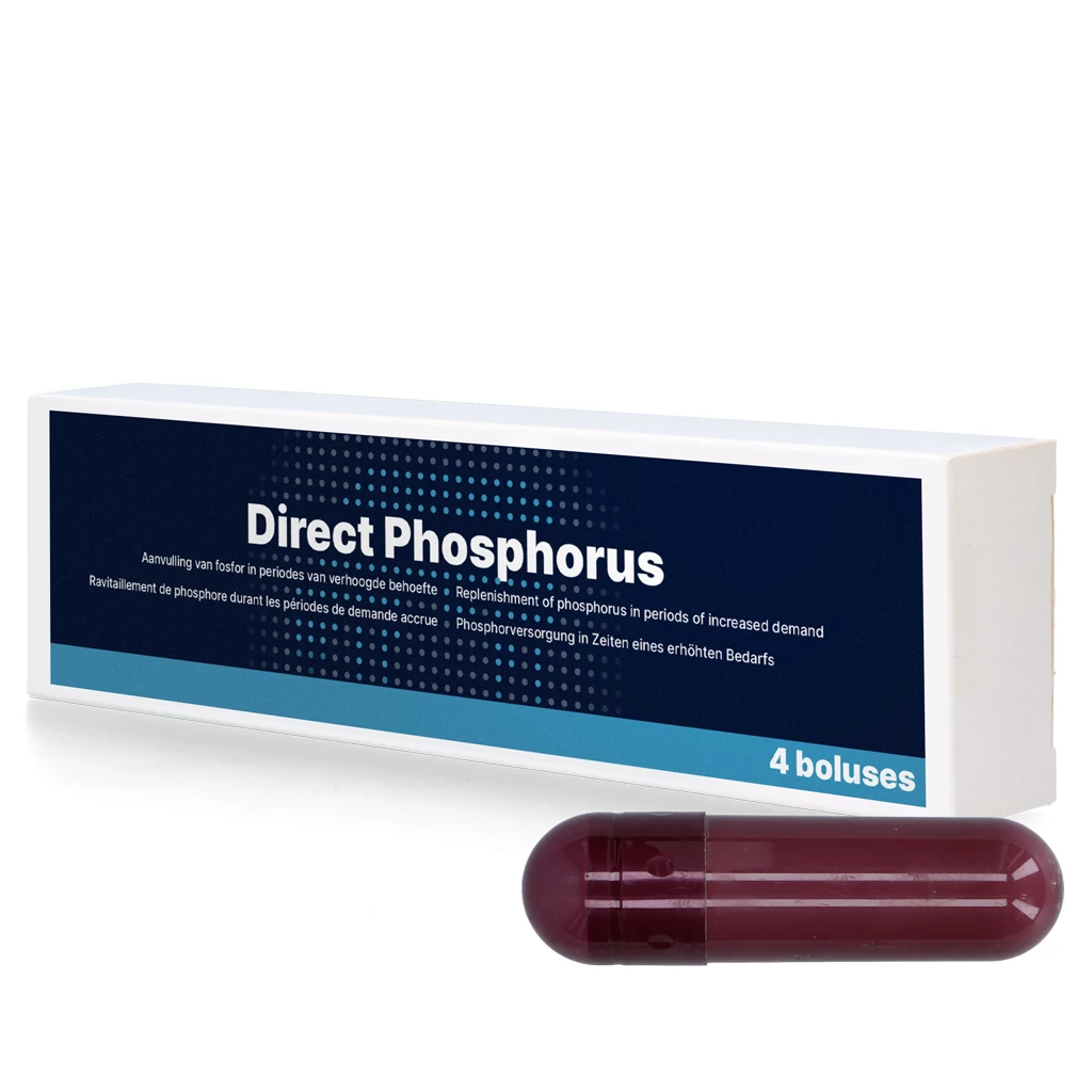 Direct Phosphor Bolus 4 Stk.