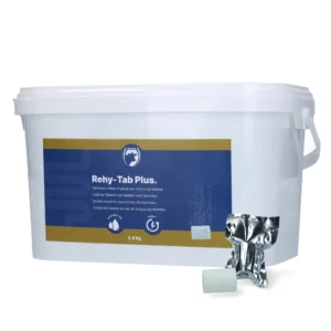 Rehy-Tab Brausetablette 48 Stk.